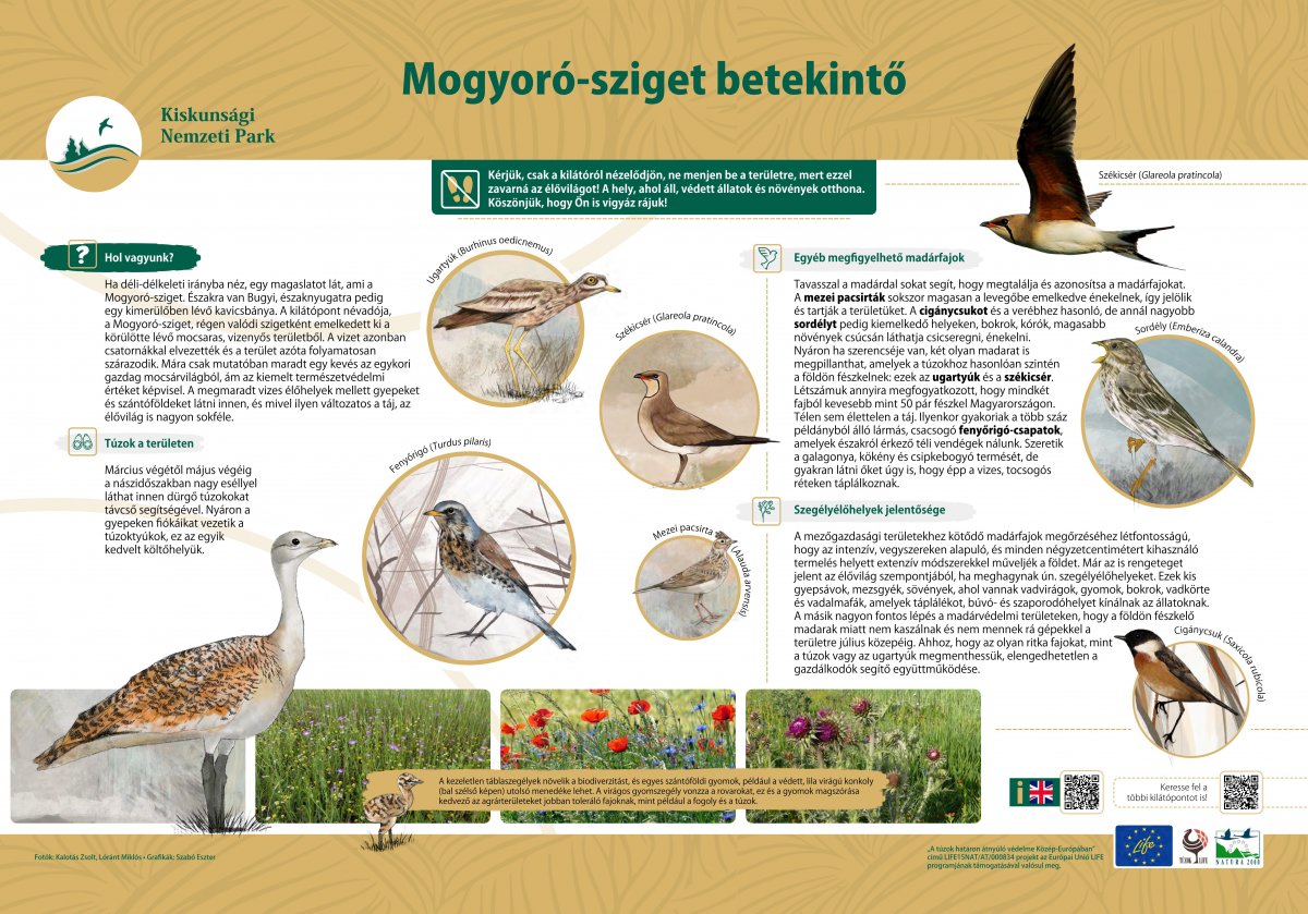 Mogyoró-sziget tábla