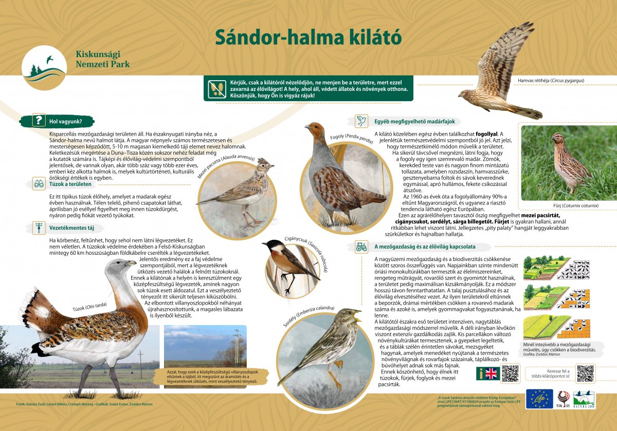 Sándor-halma tábla