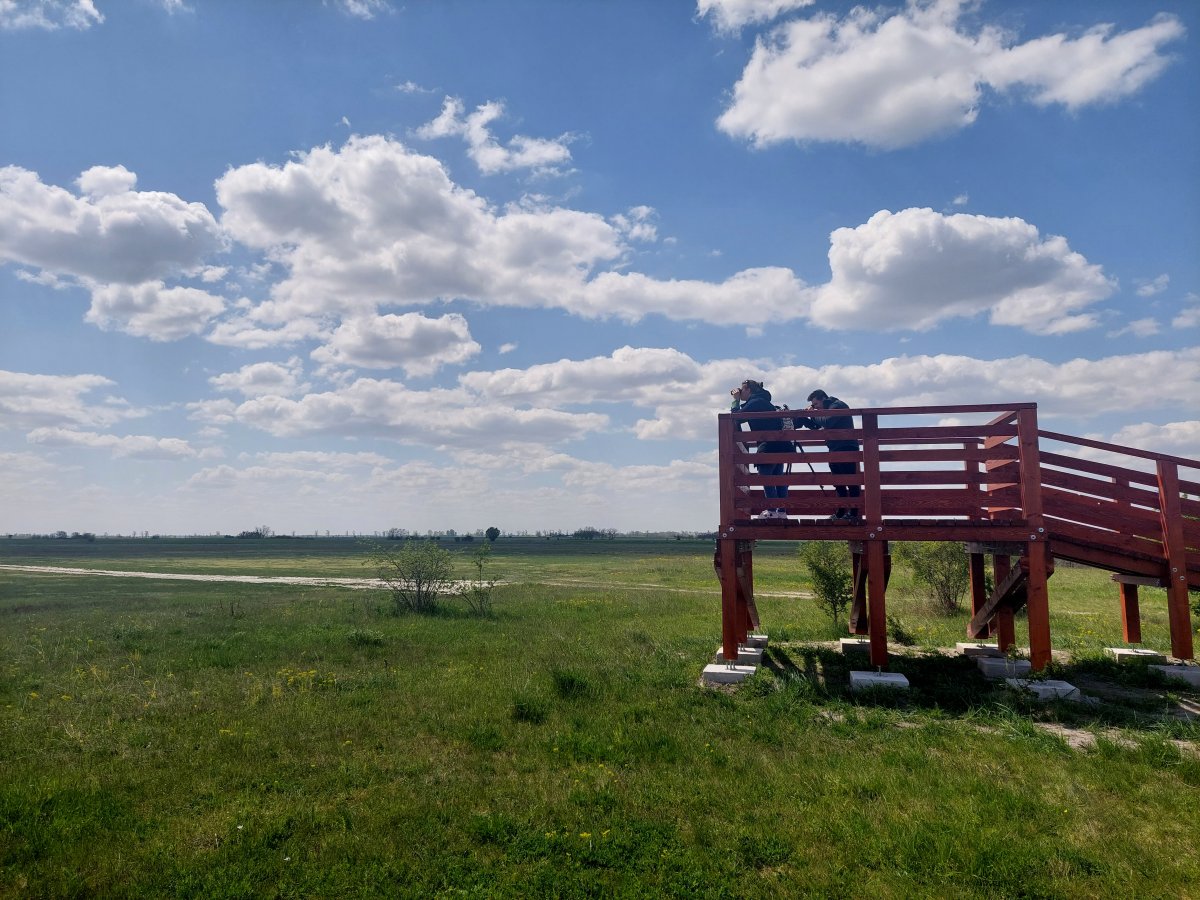 Vásártér megfigyelőpont