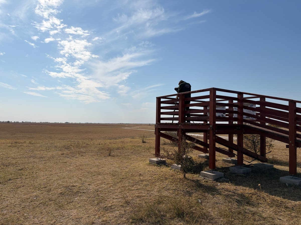madármegfigyelő pont