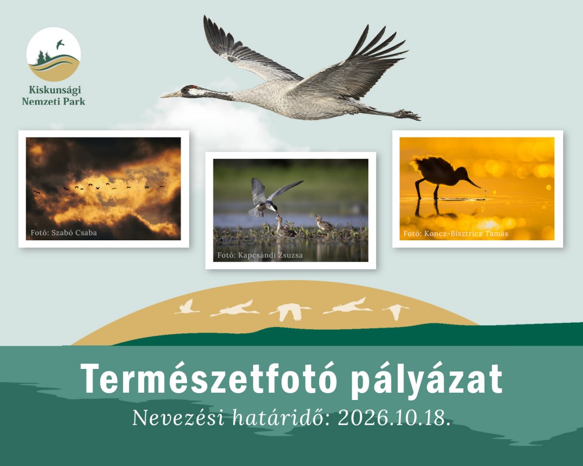 természetfotó pályázat darvadozás