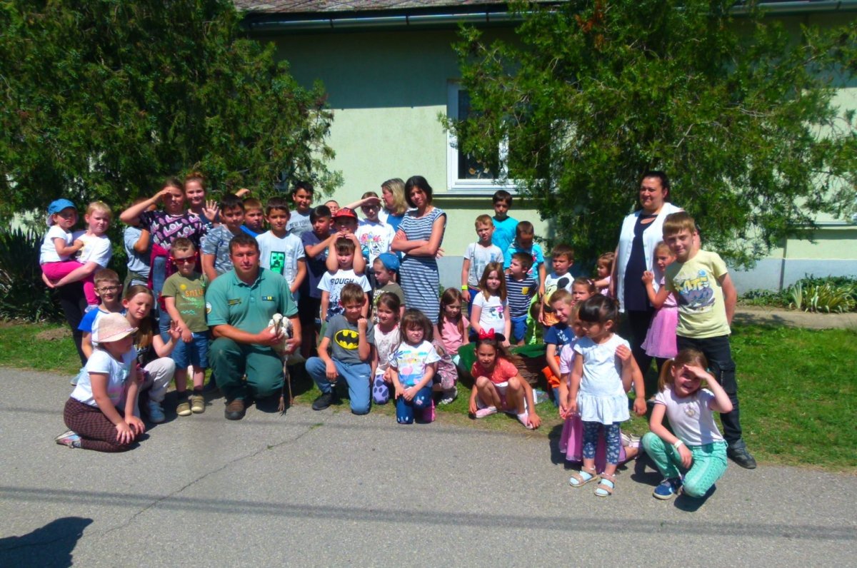 gólya road show Kalocsa