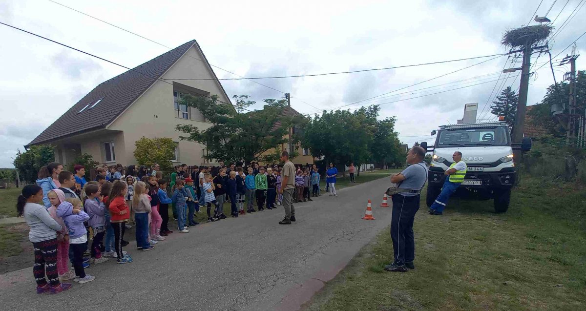 Kiskunhalas, gólyagyűrűzés